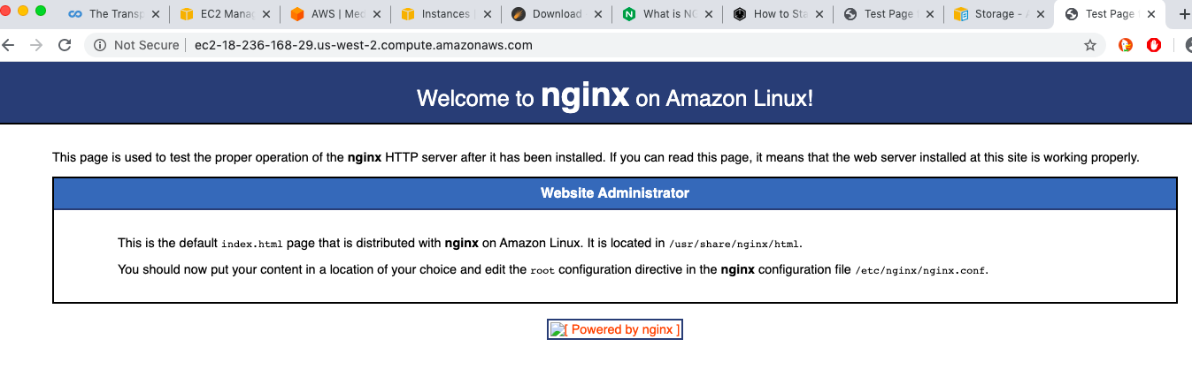 nginx